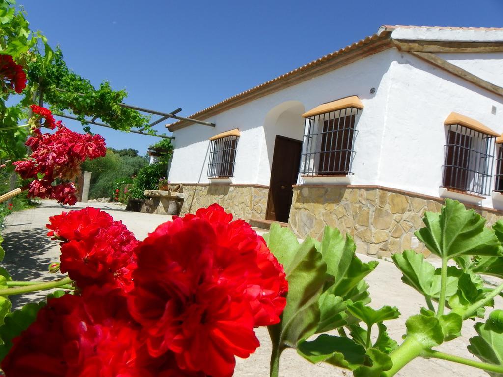 Casa Rural La Parada La Joya Exteriör bild